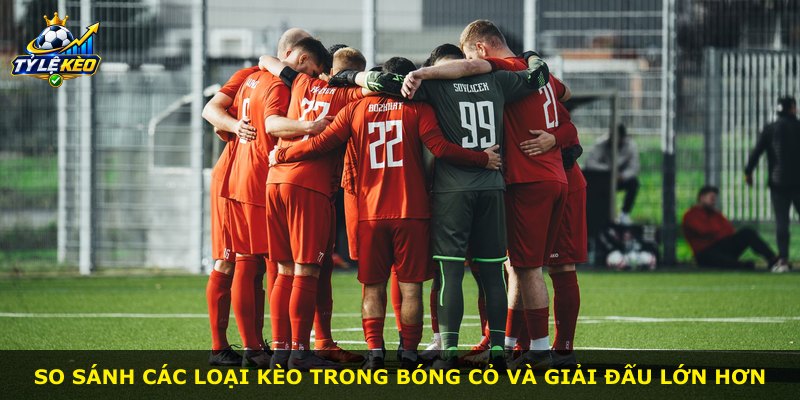 So sánh các loại kèo trong bóng cỏ và giải đấu lớn hơn